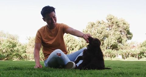 Smiling Man Petting Brown Puppy on Green Lawn