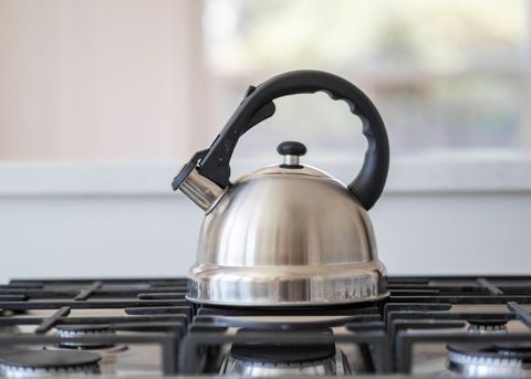 Stainless Steel Whistling Kettle on Gas Stovetop