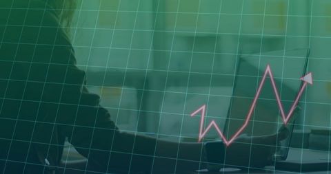 innovative businesswoman analyzing financial growth on laptop - Download Free Stock Images Pikwizard.com