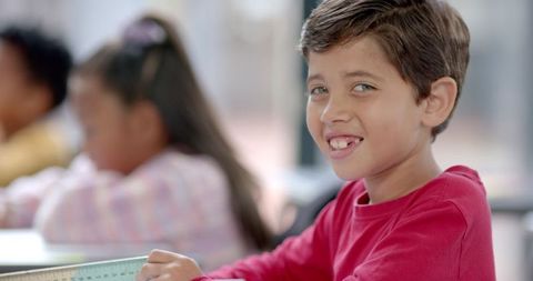 Smiling Schoolboy Engaged in Classroom Activity