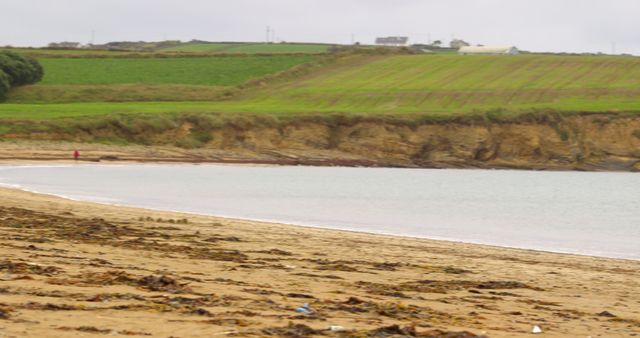 Quiet Beach Landscape with Green Meadows in Distance - Download Free Stock Images Pikwizard.com