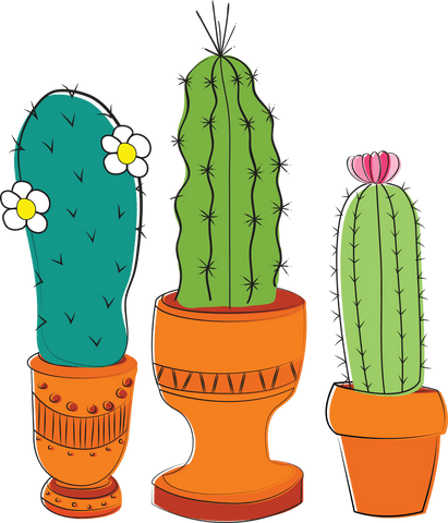 colorful cacti in decorative pots on transparent background - Download Free Stock Videos Pikwizard.com