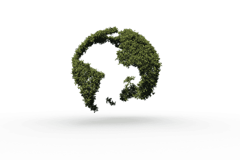 Eco globe with green leaves on transparent background