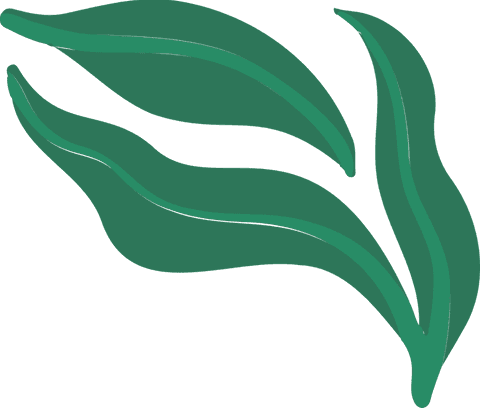 Abstract green leaves on transparent background