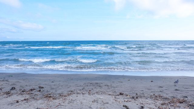 Tranquil Ocean Waves on Sandy Beach under Blue Sky - Download Free Stock Photos Pikwizard.com