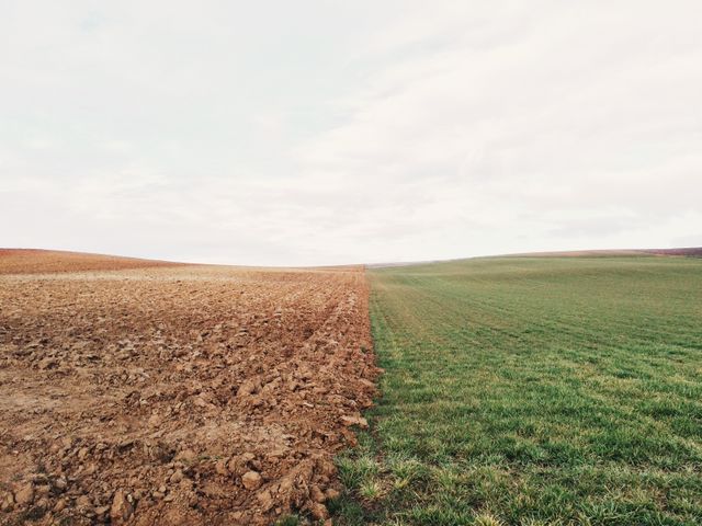 Photo shows contrast between plowed field and green pasture under cloudy sky. Useful for illustrating seasonal farming, agricultural practices, rural life, and environmental studies. Ideal for websites about agriculture, environment, and nature.