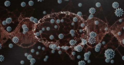 Digital Visualization of Brain Affected by Virus Cells - Download Free Stock Images Pikwizard.com