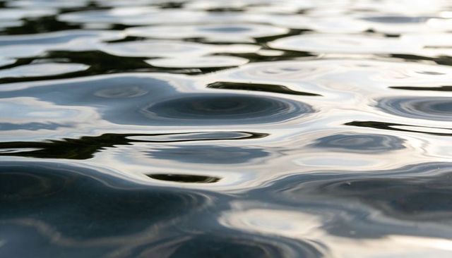 Glassy lake surface rippling with circular wave patterns and soft tree reflections