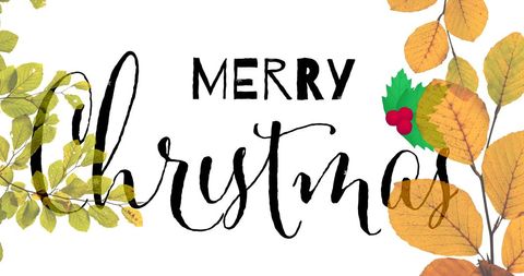 Merry Christmas Text with Leaves and Holly Decorations - Download Free Stock Images Pikwizard.com