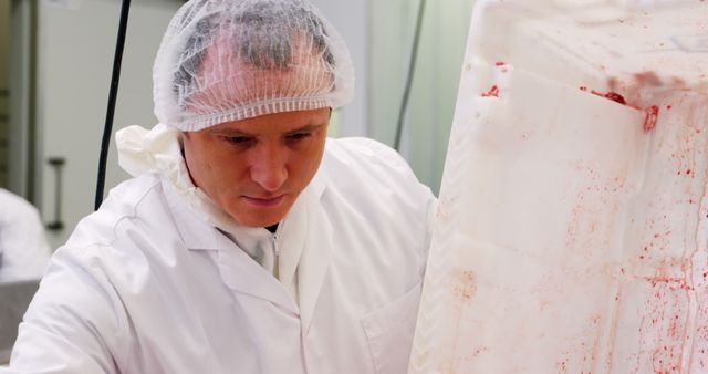 Butcher Preparing Meat in Hygienic Workspace - Download Free Stock Images Pikwizard.com