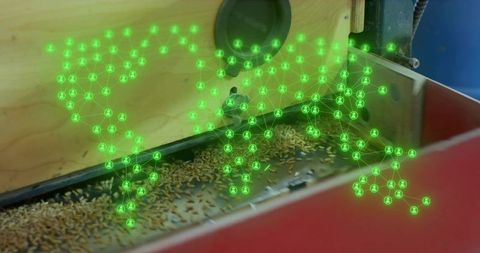 Mealworms crawling on production line with green network overlay representing analytics