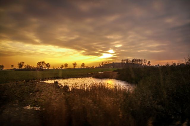 Golden hour over serene marshland with reflective water capturing tranquil rural landscape. Ideal for use in nature photography collections, environmental projects, wallpapers, travel blogs, and landscape artwork.