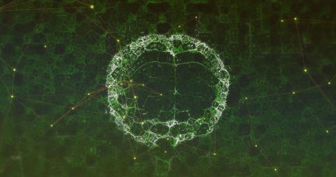 Digital brain visualization with network connections on green background