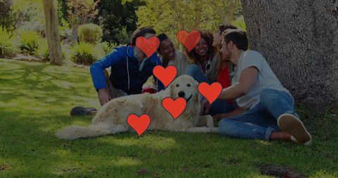 Friends Lounging with Golden Retriever in Sunlit Park - Download Free Stock Images Pikwizard.com
