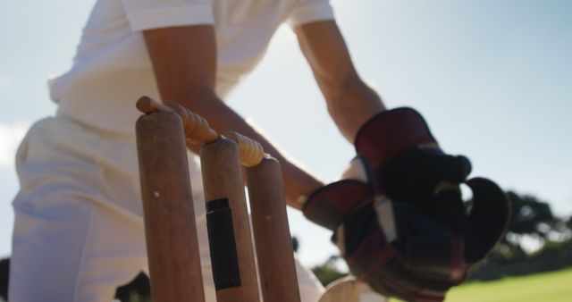 Cricketer Preparing Wicket Gloves Uniform Outdoor Field - Download Free Stock Images Pikwizard.com