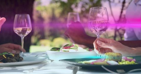 Friends toasting with wine during alfresco garden lunch around sunlit table