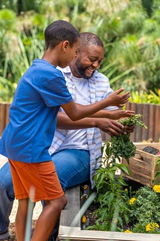 African american father and son harvesting kale in backyard garden, sharing joyful moment