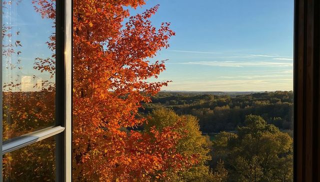 Open window framing sunlit autumn canopy over rolling countryside horizon