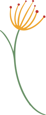 Floral Vector Art with Transparent Design and Minimalist Appeal - Download Free Stock Videos Pikwizard.com