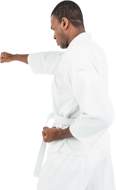 Transparent Karate Fighter Mastering Powerful Punch - Download Free Stock Videos Pikwizard.com