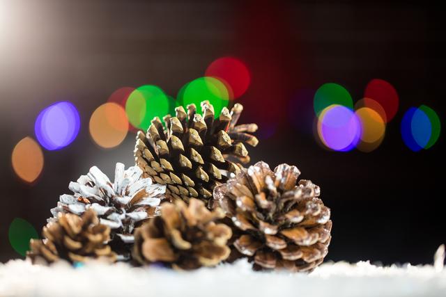 Pine Cones on Snow with Colorful Christmas Lights - Download Free Stock Photos Pikwizard.com
