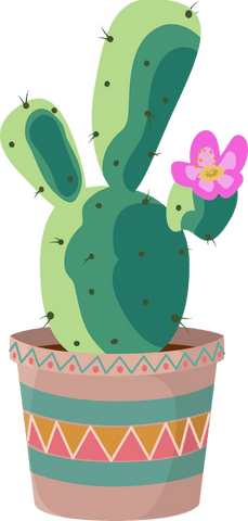 Flat design green cactus with flower on transparent background