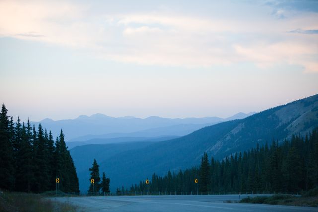 Scene depicts a quiet mountain road winding through thick pine forest at dusk with a soft blue sky overhead. Ideal for content focusing on travel destinations, nature photography, outdoor activities, adventure trips, serenity in nature, or as background images for blogs, websites, and promotional materials.