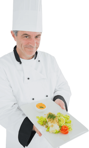 Transparent Image of Chef Presenting Dish with Vegetables and Garnish - Download Free Stock Videos Pikwizard.com