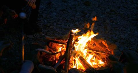 Friends Roasting Marshmallows on Campfire During Night Camping - Download Free Stock Images Pikwizard.com
