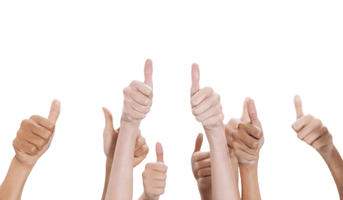 Diverse Thumbs Up Gesture on Transparent Background - Download Free Stock Videos Pikwizard.com