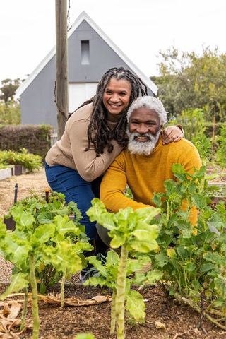 Senior african american couple tending kale in backyard raised beds, smiling and embracing