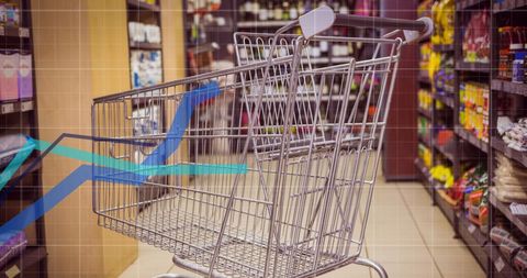 Empty Shopping Cart in Grocery Store Aisle