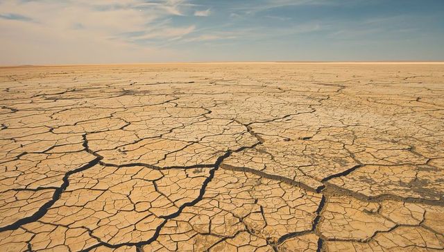 Cracked saltflat stretching across dried lake bed revealing deep fissures under cirrus sky