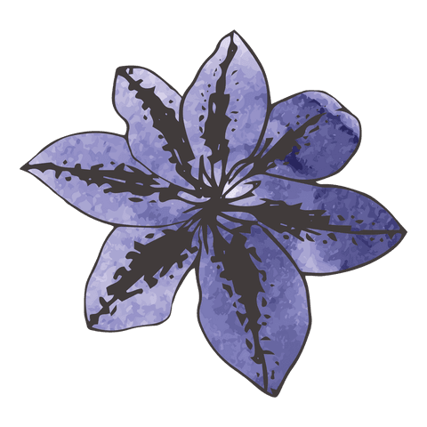 Purple watercolor flower design with transparent background