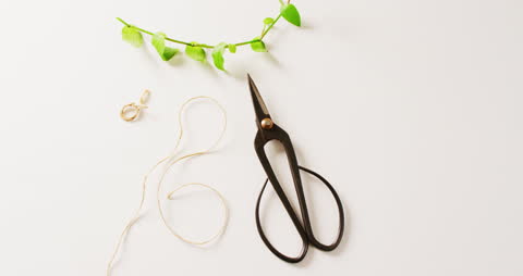 Gardening Tools with Plant Stem and Twine on White Background