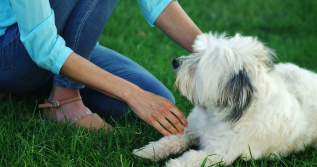 A middle-aged woman is interacting with a fluffy white dog on a lush green lawn, with copy space. Her gentle touch suggests a bond of trust and affection between the pet and its owner.