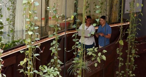 Colleagues Collaborating in Eco-Friendly Office Space