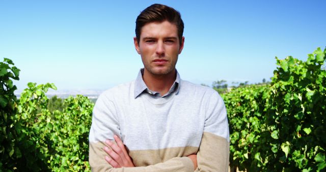 Confident Man Standing in Vineyard with Folded Arms - Download Free Stock Images Pikwizard.com