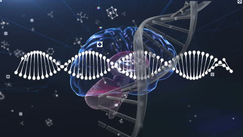 Complex Digital Interface of DNA and Brain Networks