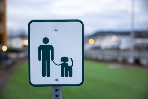 Sign Indicating Dog Walking Allowed Area