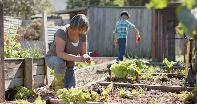 Woman kneeling in garden tending to plants, while man in background watering more plants. Useful for promoting gardening techniques, outdoor activities, teamwork, and healthy lifestyle.