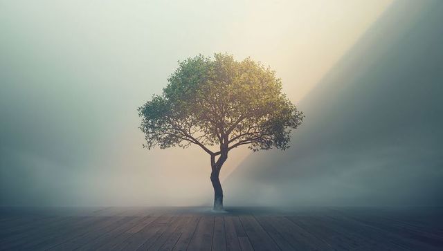 Lone tree amidst dreamy mistened skies on wooden platform