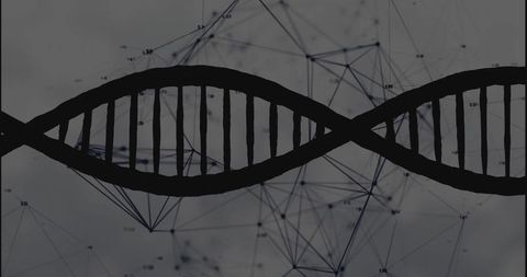 Digital dna double helix with abstract network connections