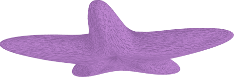 Abstract Purple Starfish on Transparent Background