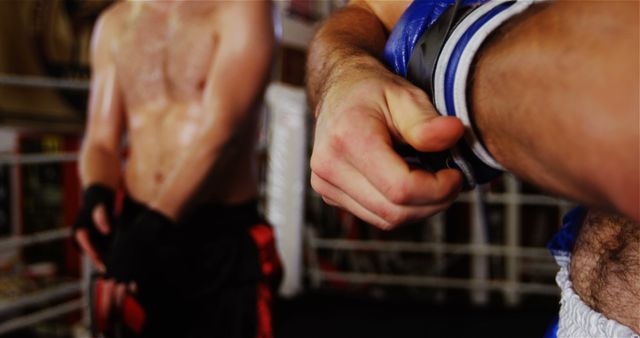 Boxers Prepping for Match in Gym - Download Free Stock Images Pikwizard.com