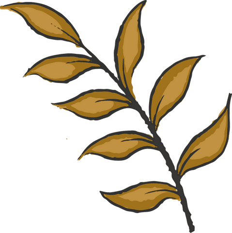 transparent illustration of branch with golden leaves - Download Free Stock Videos Pikwizard.com
