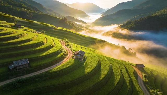 Golden sunrise over lush terraced rice fields with winding path and rustic hut