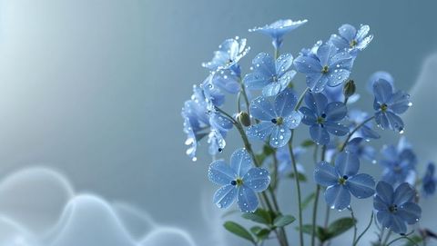 Elegant blue forget me not flowers with water droplets conveying fresh serenity