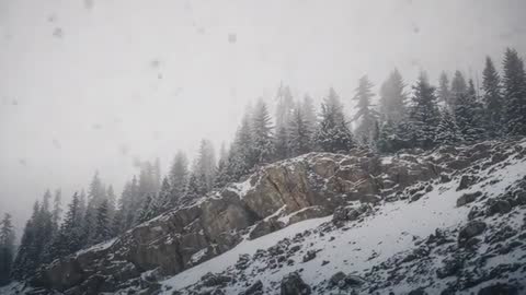 Low Cloud Snowfall Drifting Over Rocky Alpine Ridge and Conifer Forest