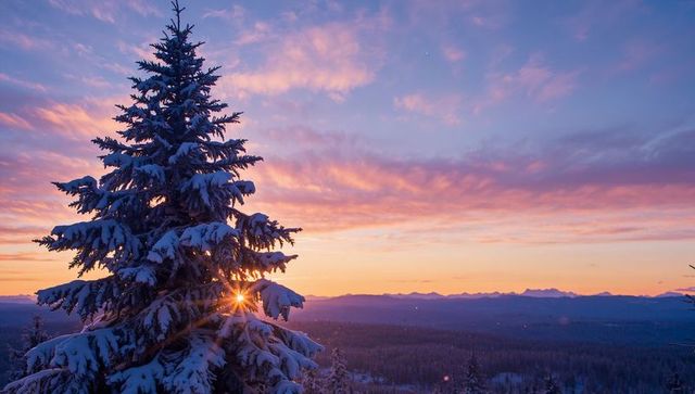 Snowy evergreen glowing with sun starburst at mountain overlook during pastel sunrise
